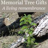 Trees for a Change - Memorial Tree Sympathy and Condolence Gift