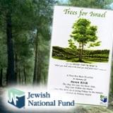 Link to Plant Trees in Israel