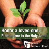 Link to Plant Trees in the Holy Land